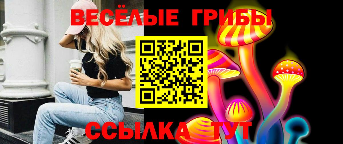 Ростов Великий  Псилоцибиновые грибы Psilocybe  где найти наркотики  Вход с VPN 